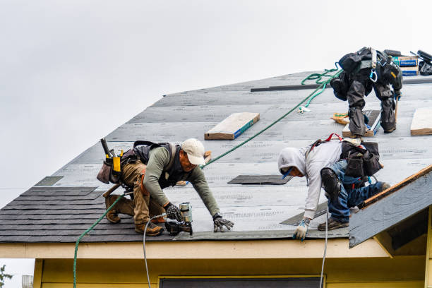 Professional Gutter Installation technician working in Riddle, OR